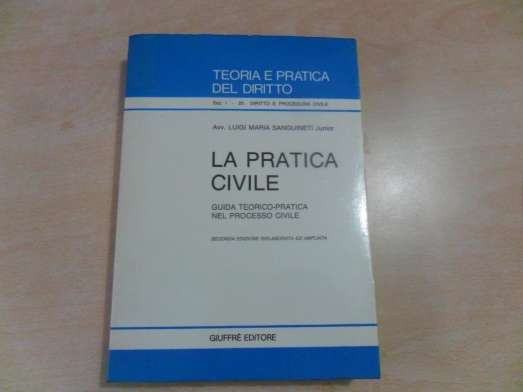 La pratica civile. Guida teorico-pratica nel processo civile (Vol. 1) (Teoria pratica dir. I: dir. e proc. civ.) Law