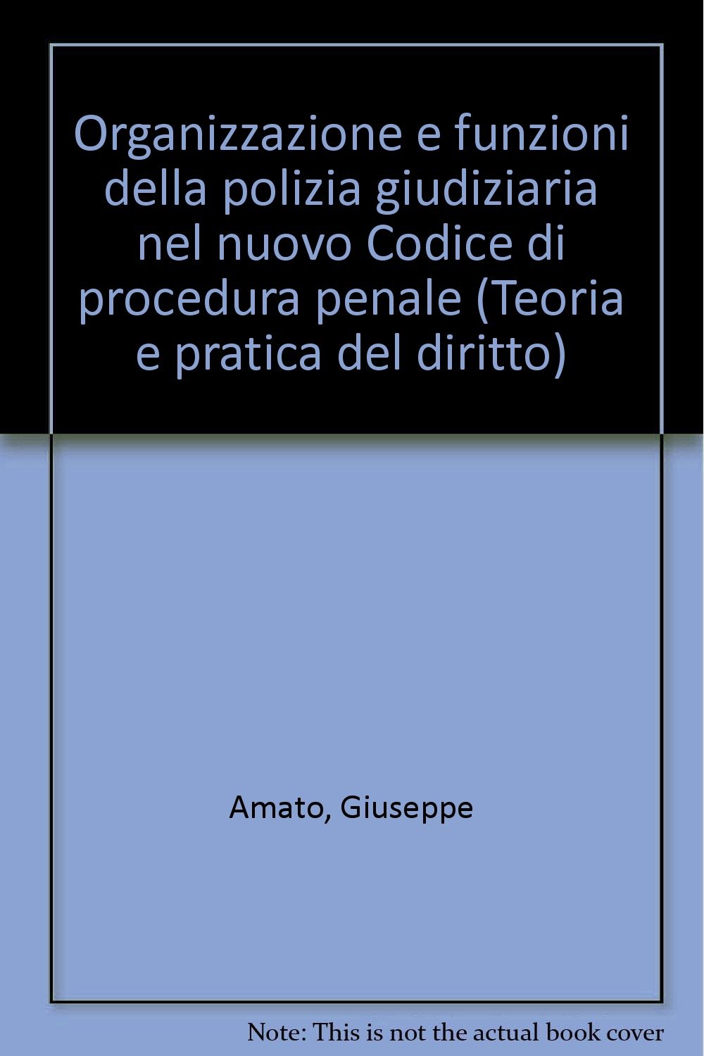 Organizzazione e funzioni della polizia giudiziaria nel nuovo codice di procedura penale (Teoria pratica dir. III: dir. proc. pen., Band 46) Social Sciences