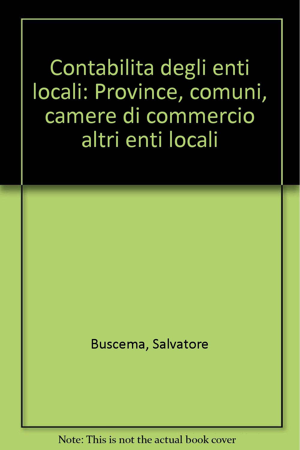 Contabilità degli enti locali. Province, comuni, Camere di commercio, altri enti locali book