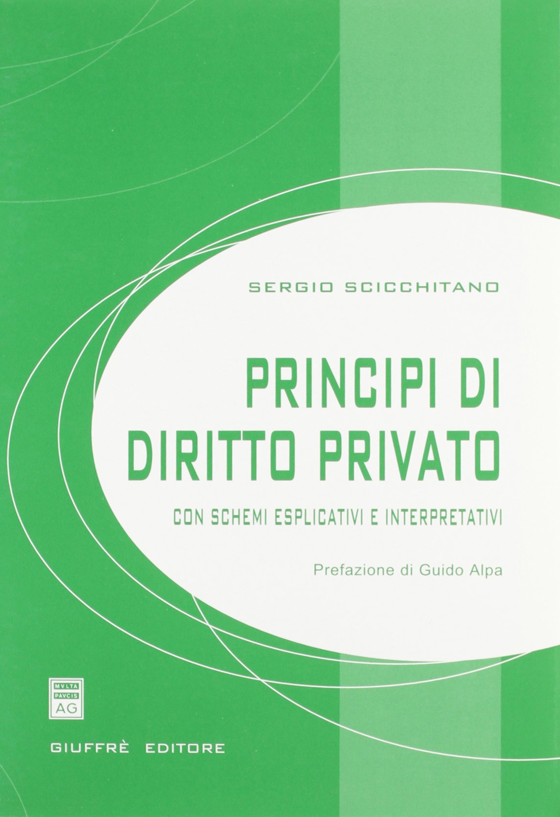 Principi di diritto privato. Con schemi esplicativi e interpretativi book