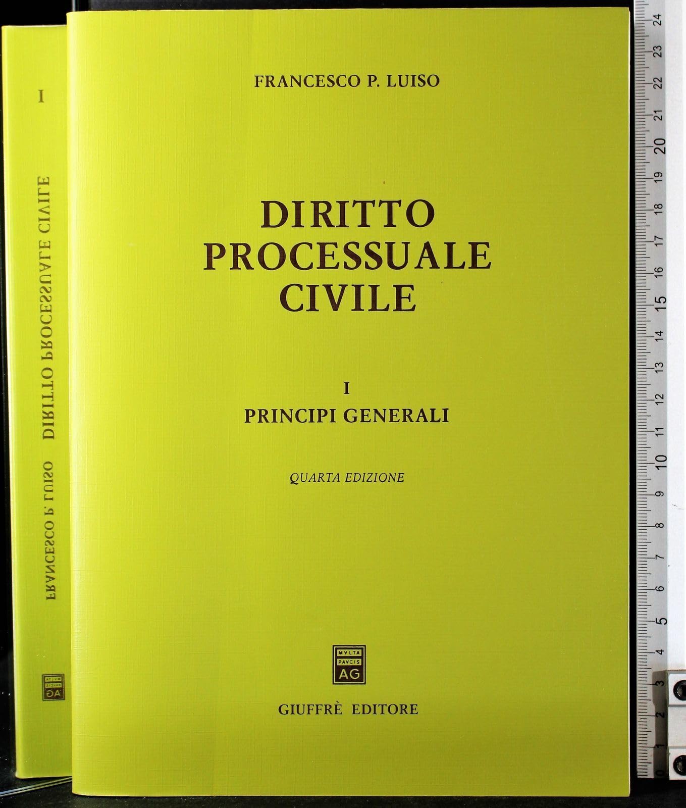 Diritto processuale civile. Principi generali (Vol. 1) Law