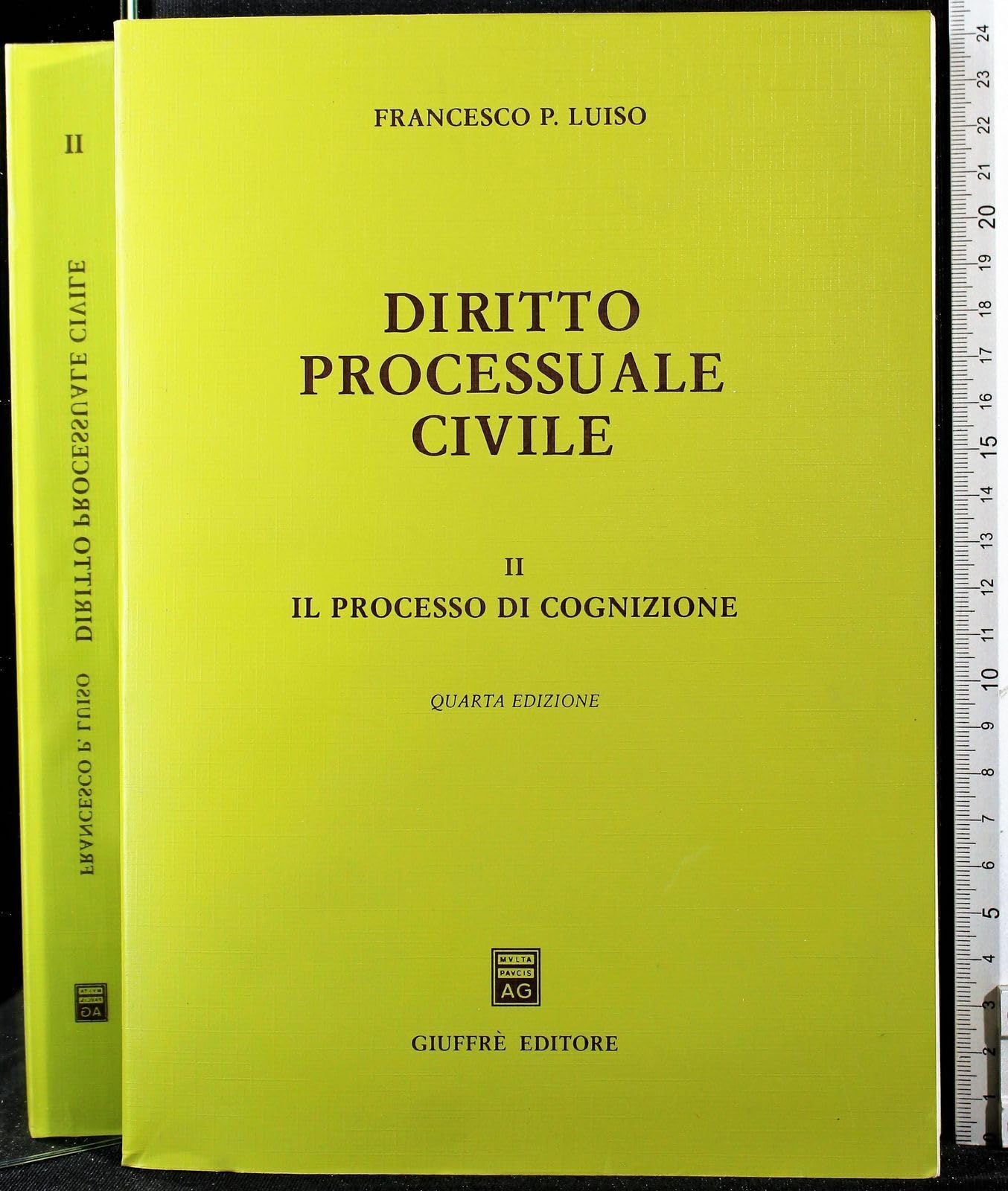 Diritto processuale civile. Il processo di cognizione (Vol. 2) Law