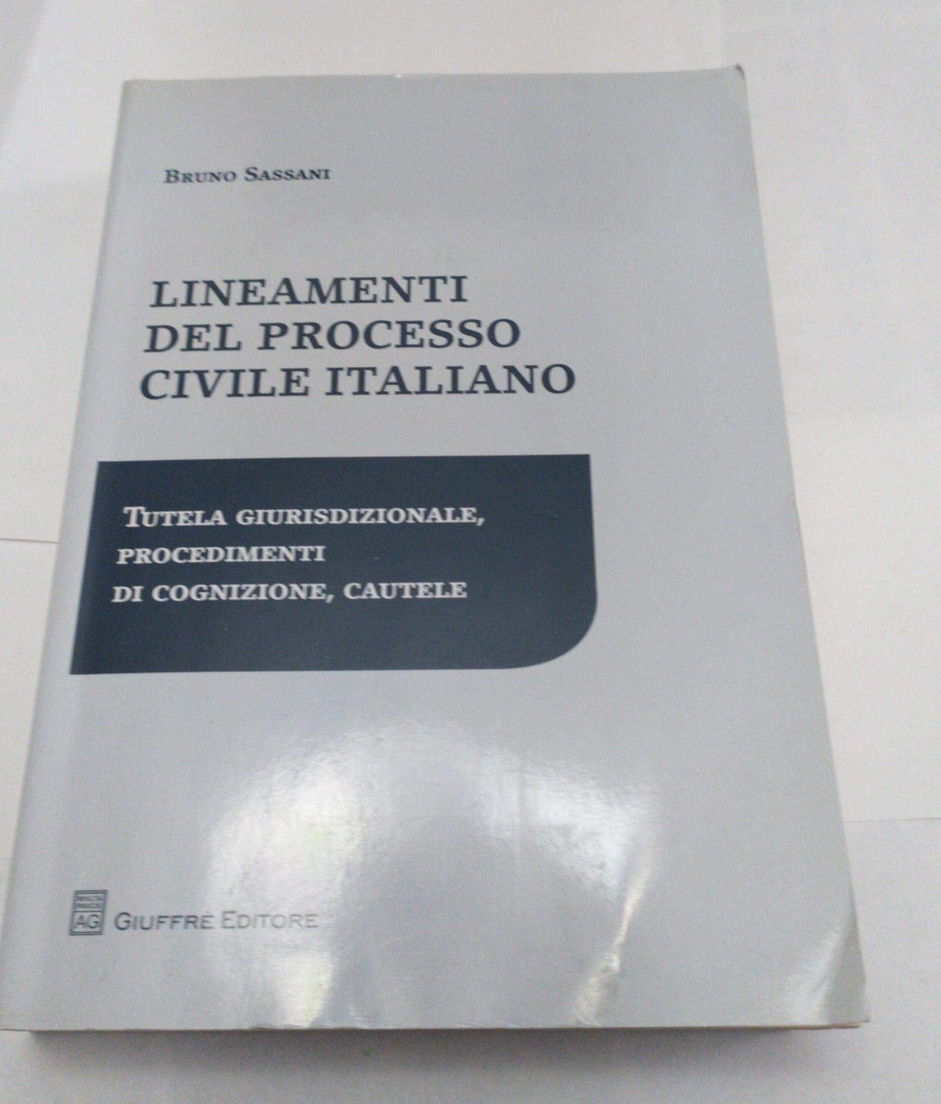 Lineamenti del processo civile italiano. Tutela giurisdizionale, procedimenti di cognizione, cautele Law