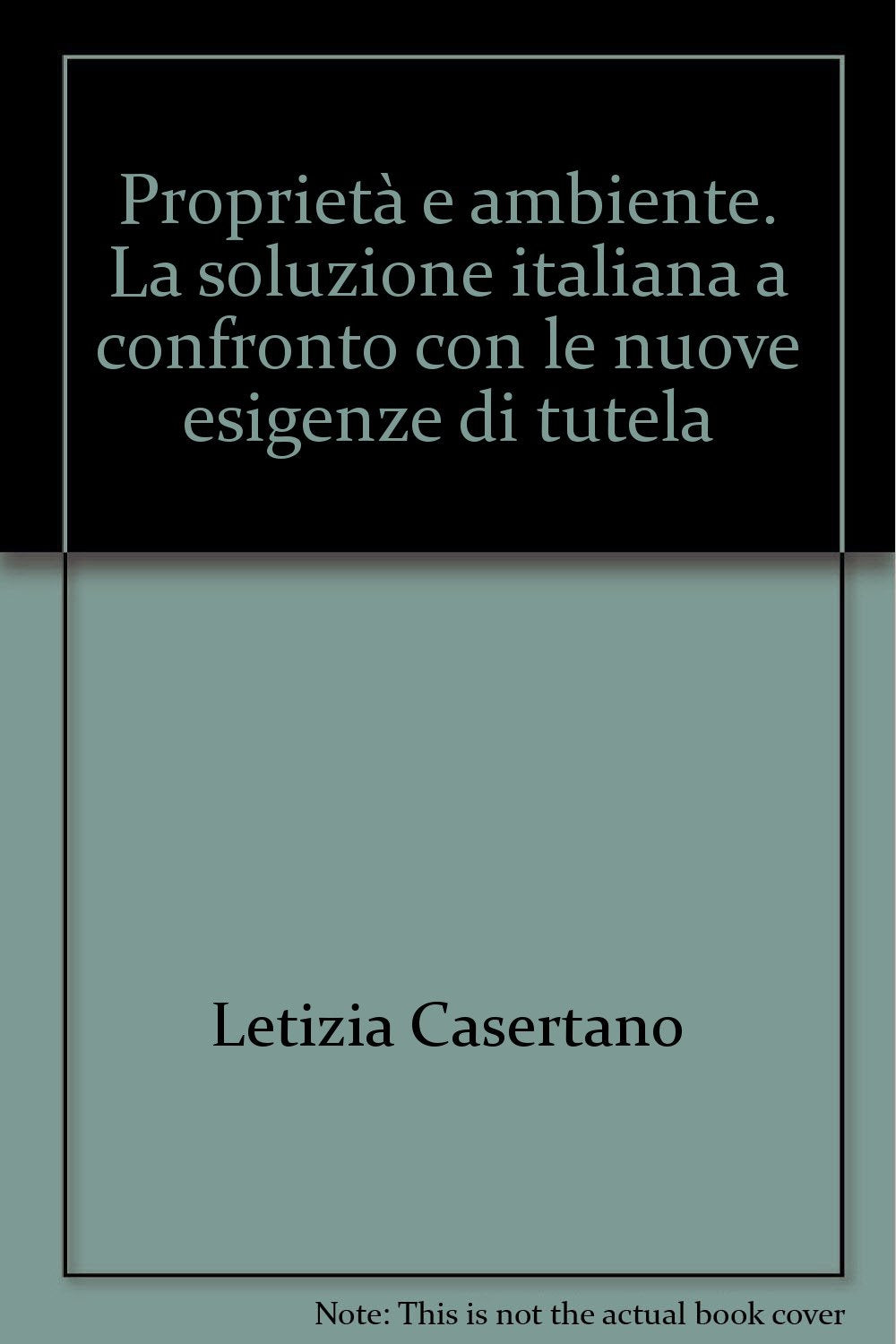 Proprietà e ambiente. La soluzione italiana a confronto con le nuove esigenze di tutela (Quaderni rivista giuridica dell'ambiente) Law