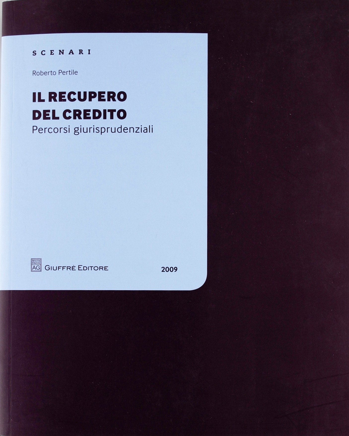 Il recupero del credito. Percorsi giurisprudenziali Law