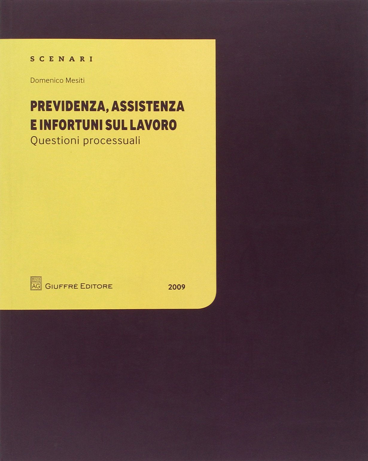 Previdenza, assistenza e infortuni sul lavoro. Questioni processuali Law