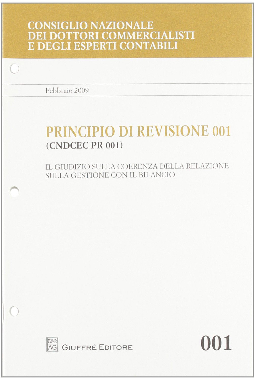 Principio di revisione. Documento 001. Il giudizio sulla coerenza della relazione sulla gestione con il bilancio (Cons. naz. dott. Comm. Principi di revis.) Books