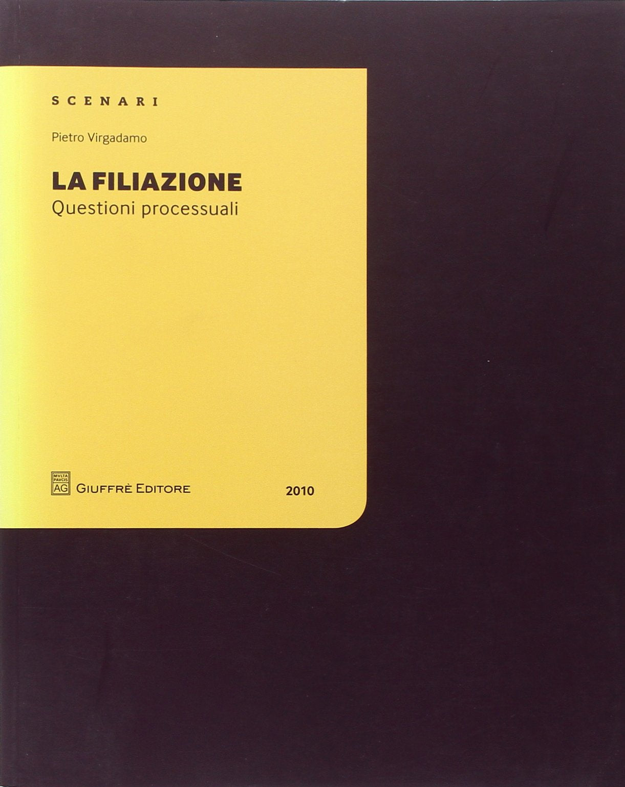 La filiazione. Questioni processuali (Scenari. Questioni processuali) Law