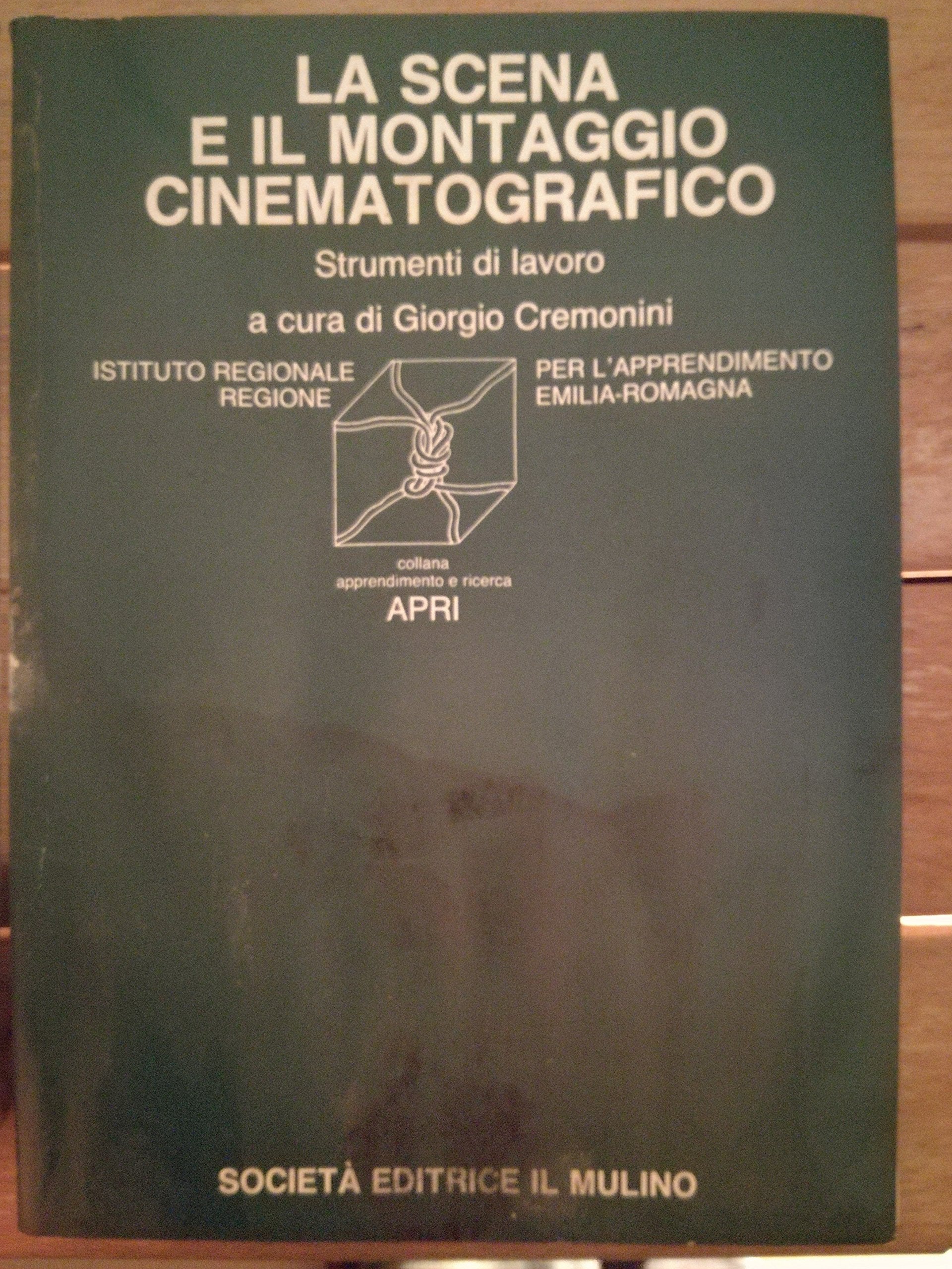 La scena e il montaggio cinematografico book