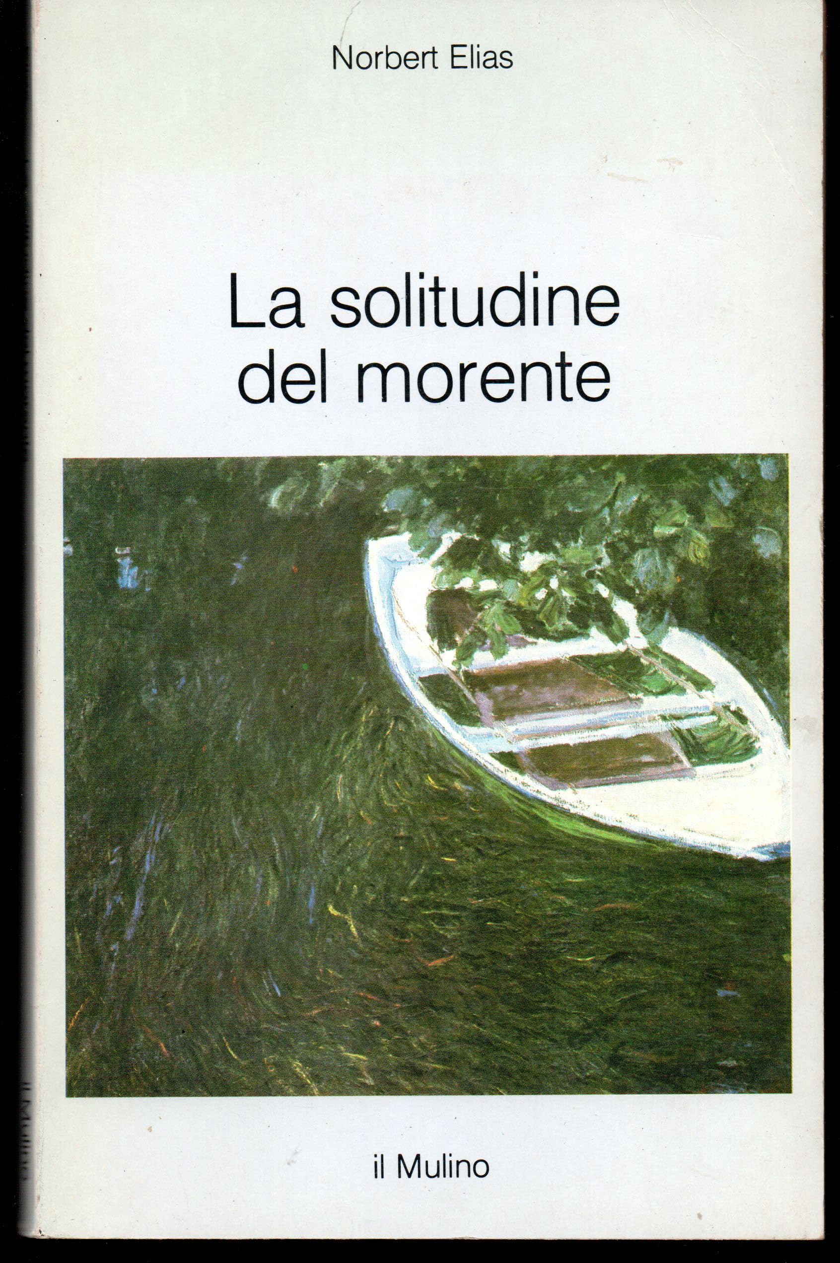 La solitudine del morente book