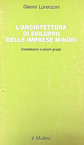 L'architettura di sviluppo delle imprese minori. Costellazioni e piccoli gruppi book