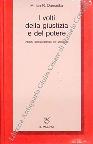 I volti della giustizia e del potere. Analisi comparatistica del processo book