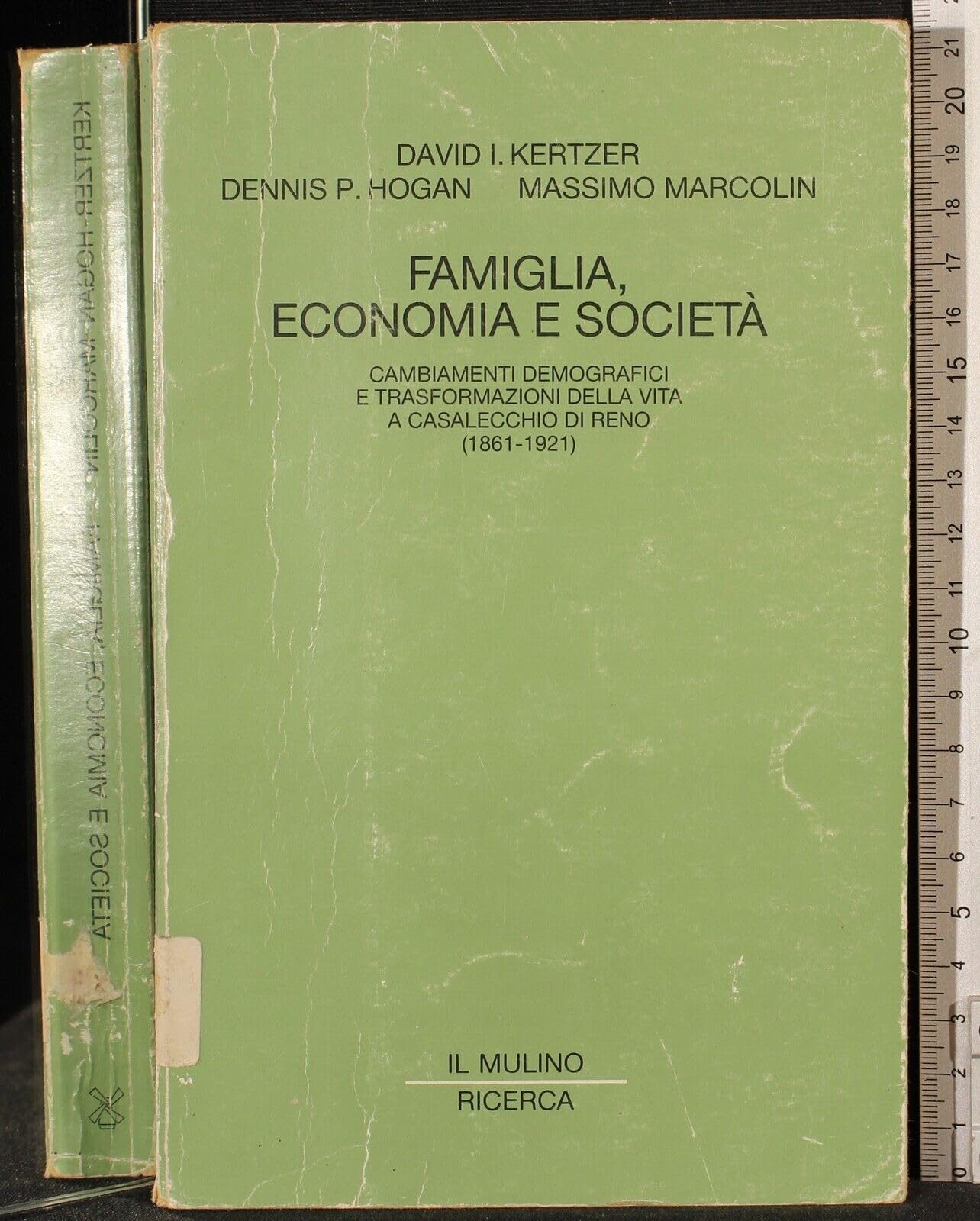 Famiglia, economia e società. Cambiamenti demografici e trasformazione della vita a Casalecchio di Reno (1861-1921) (Il Mulino/Ricerca) Books