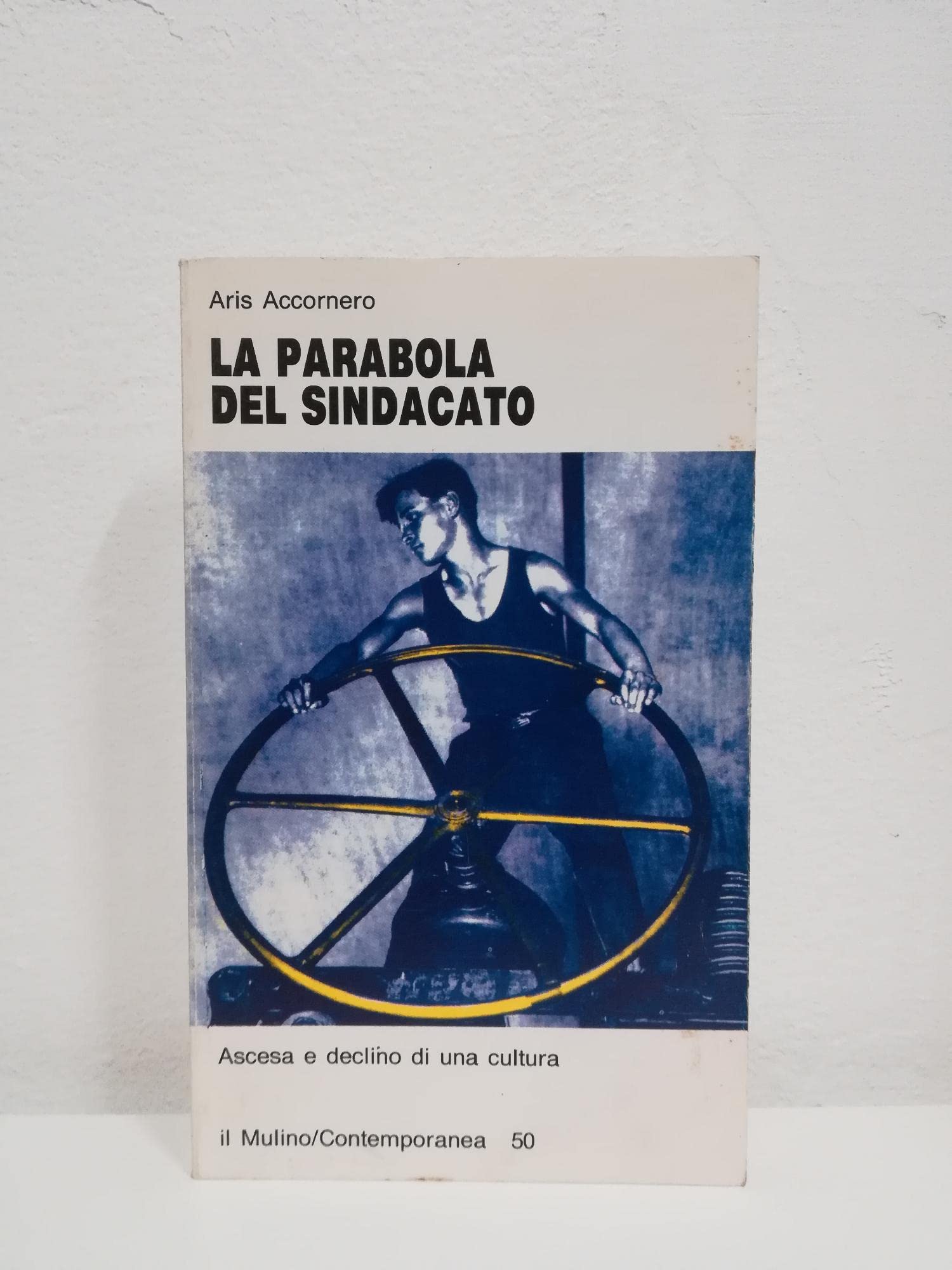 La parabola del sindacato. Ascesa e declino di una cultura (Contemporanea) Business, Finance & Career