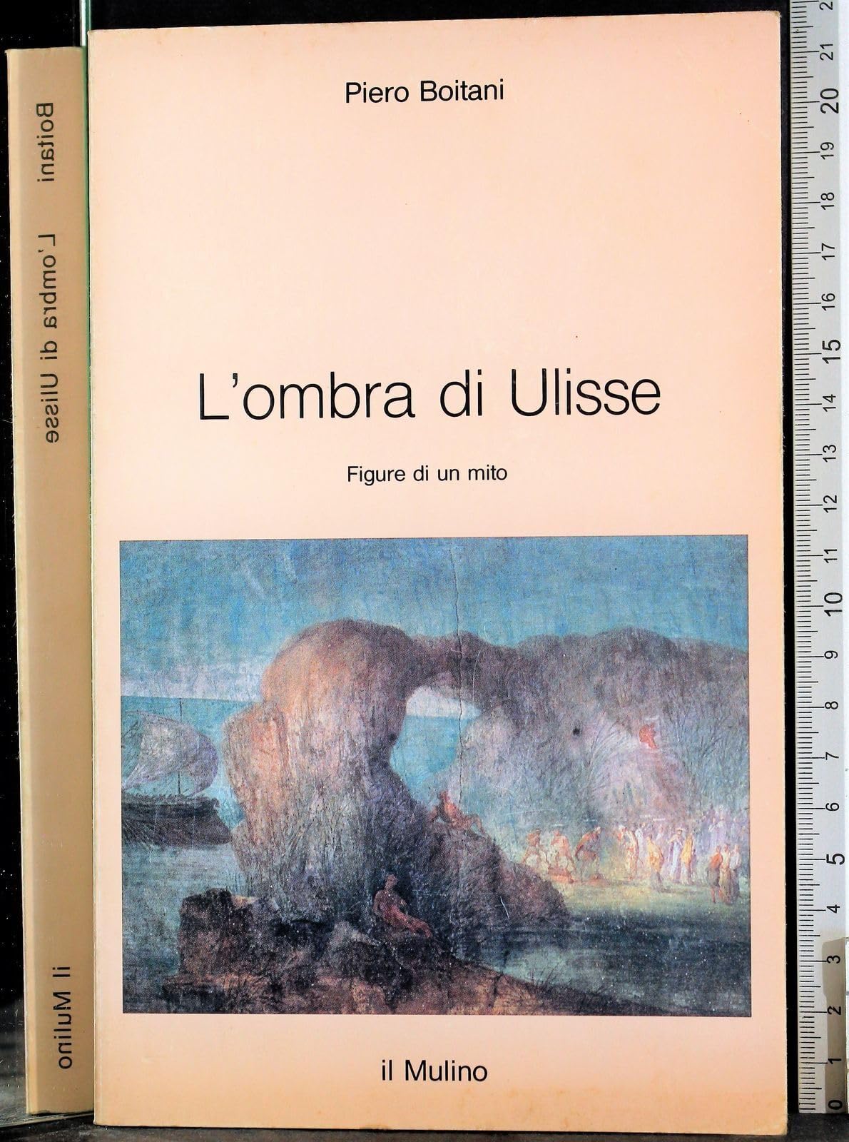 L'ombra di Ulisse. Figure di un mito book