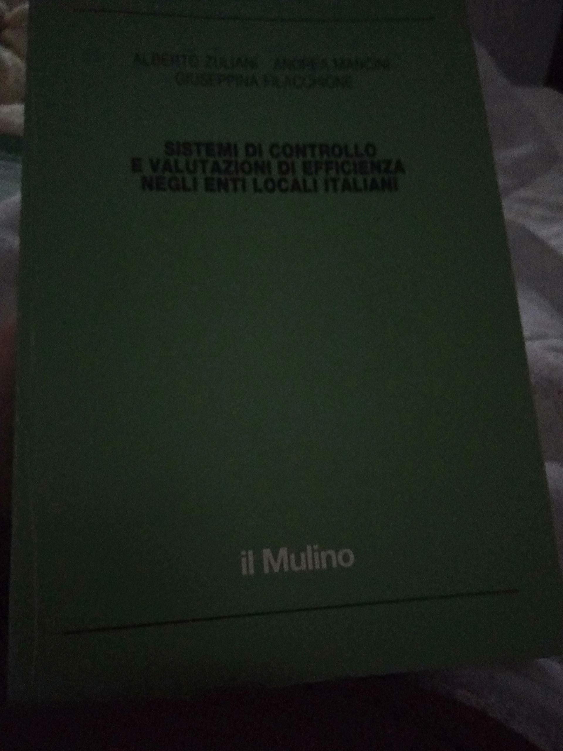 Sistemi di controllo e valutazioni di efficienza negli enti locali italiani (Organizzazione e funzionam. pubbl. amm., Band 35) Business, Finance & Career