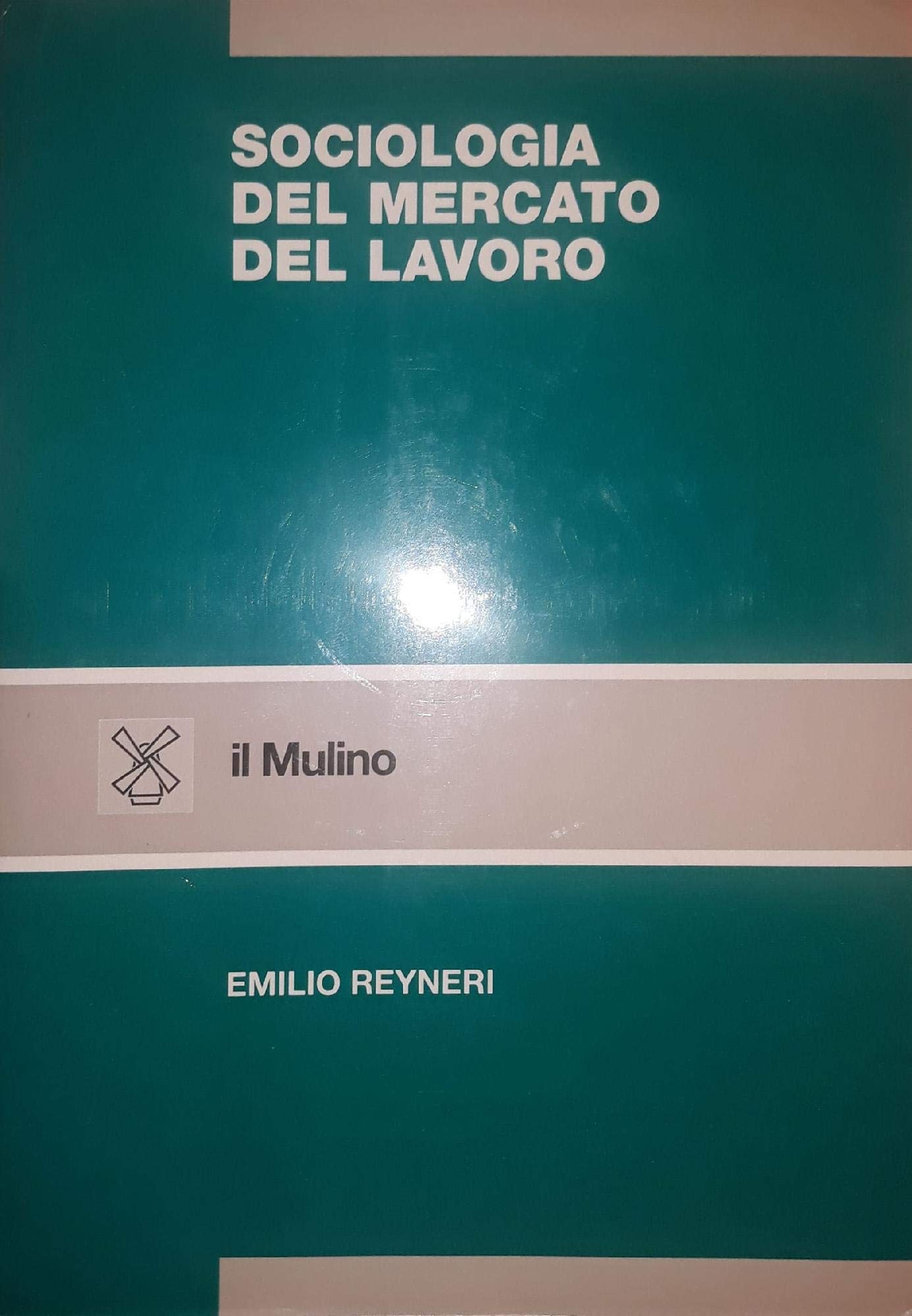 Sociologia del mercato del lavoro book
