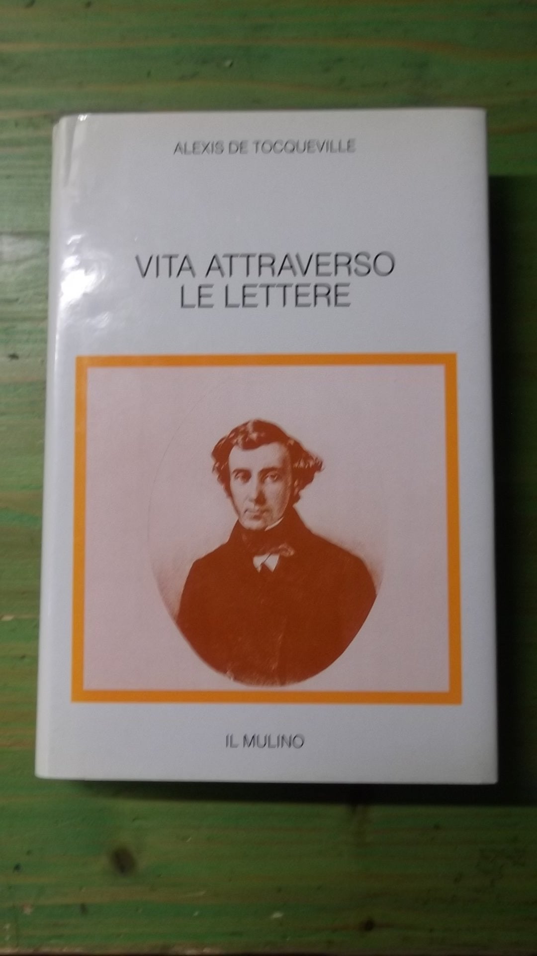 Vita attraverso le lettere (Le occasioni, Band 62) Politics & History