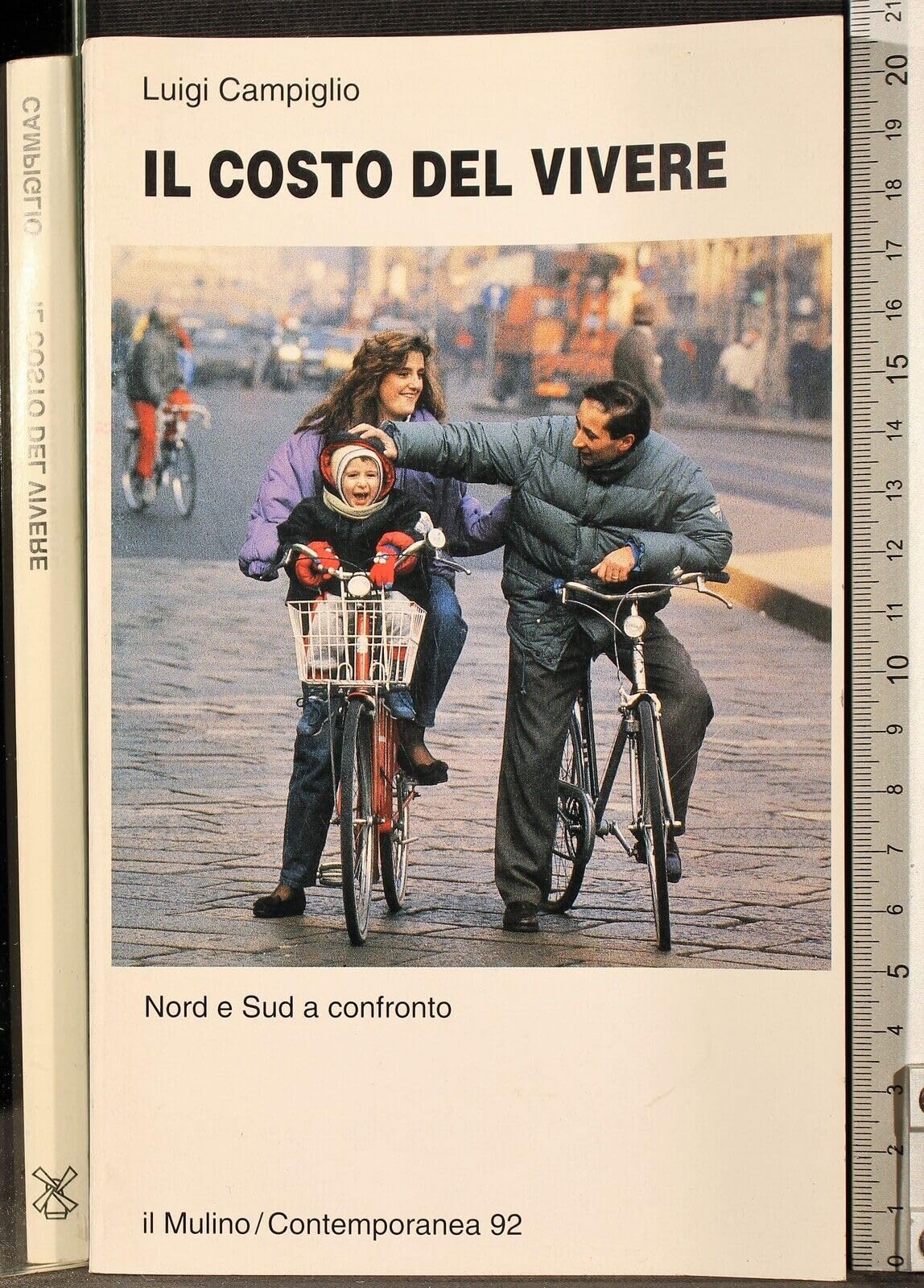 Il costo del vivere. Nord e Sud a confronto book