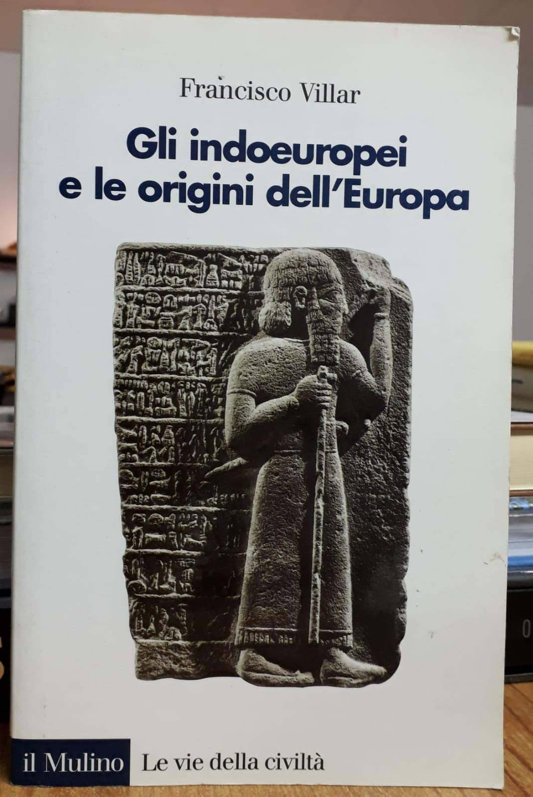Gli indoeuropei e le origini dell'Europa. Lingua e storia book