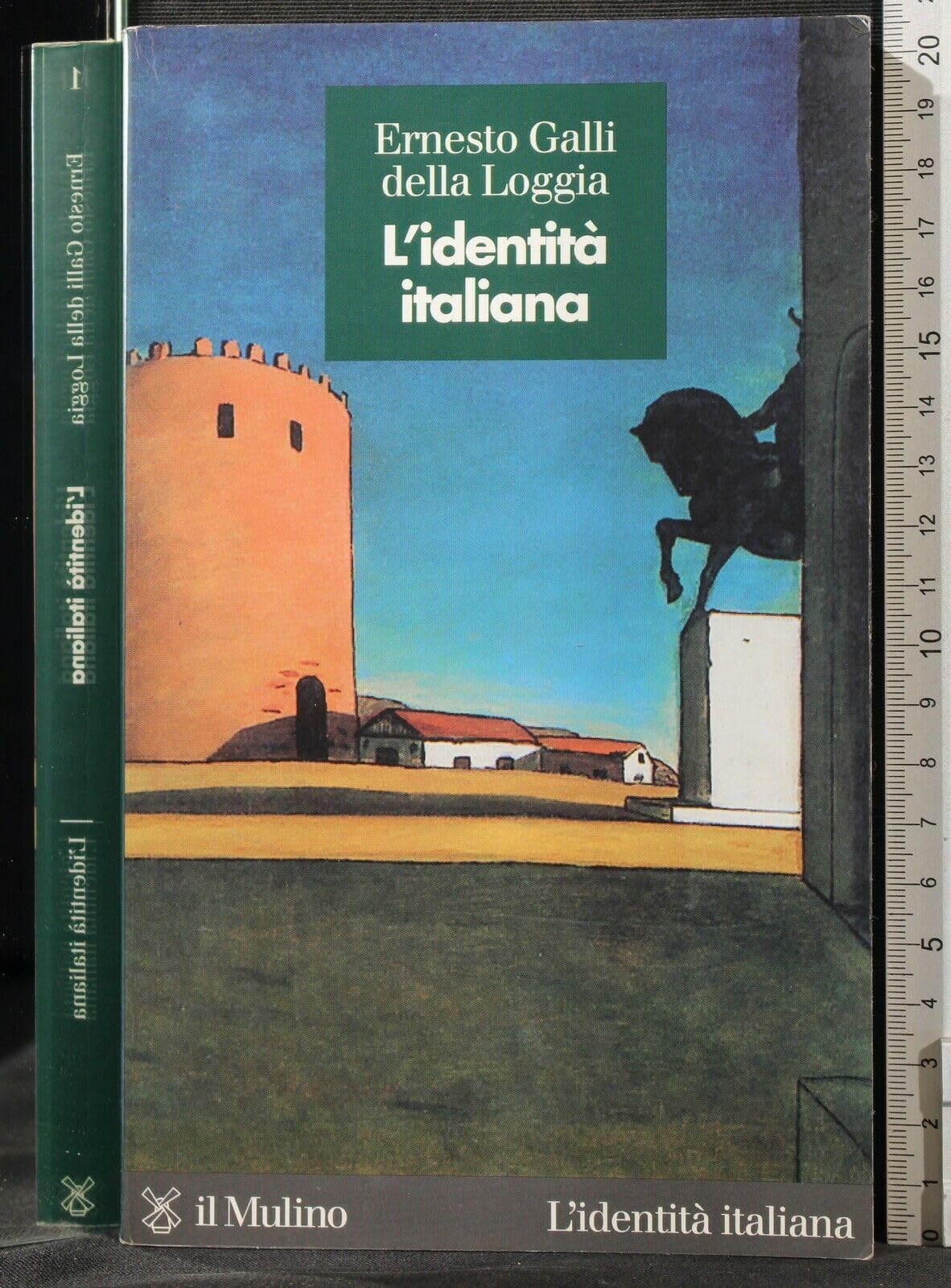 L'identità italiana book