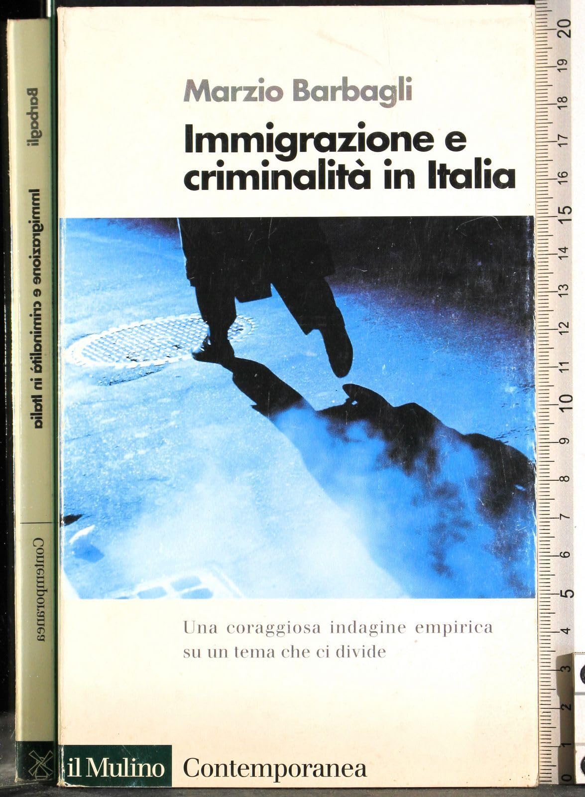 Immigrazione e criminalità in Italia book