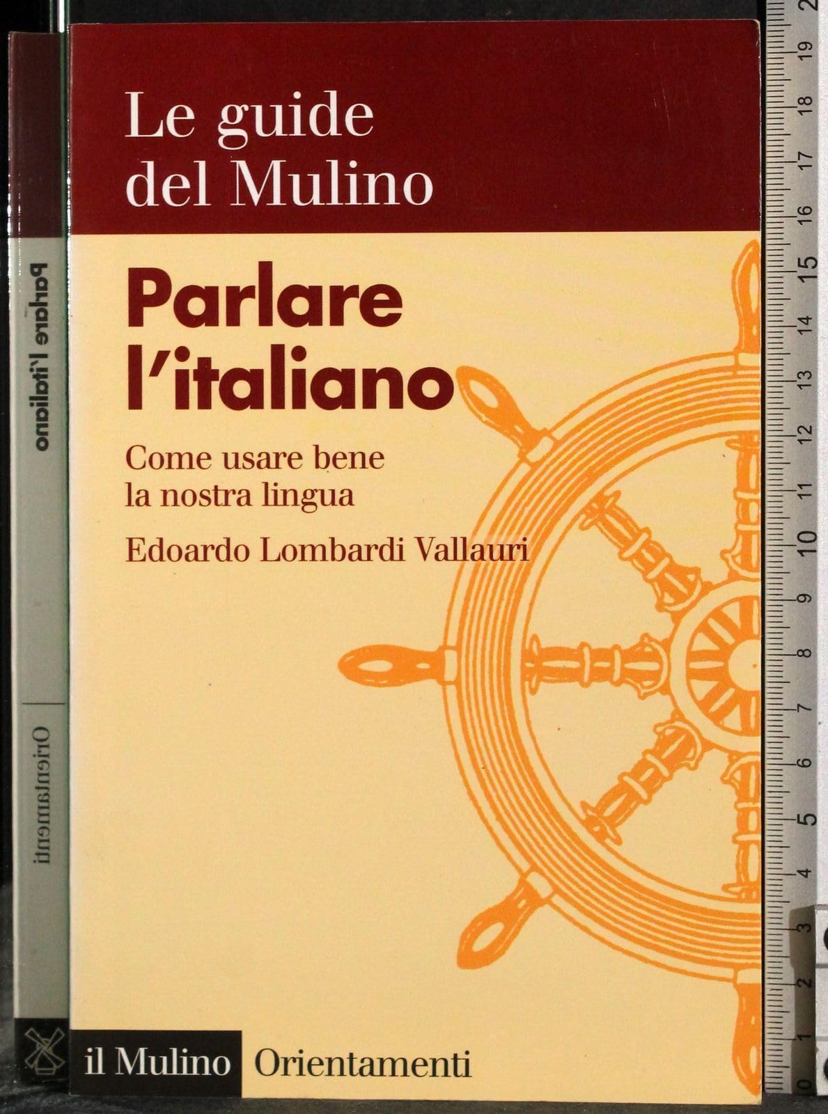 Parlare l'italiano. Come usare bene la nostra lingua (Orientamenti) Social Sciences