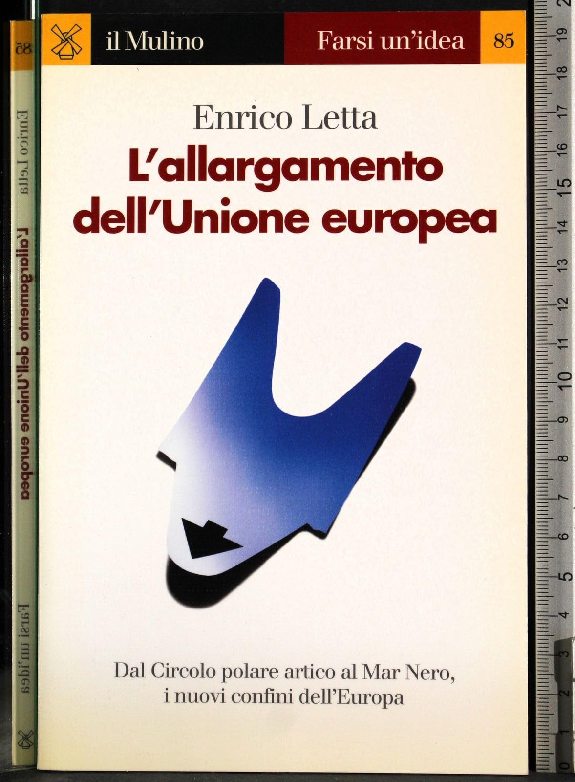 L'allargamento dell'Unione europea (Farsi un'idea, Band 85) Politics & History
