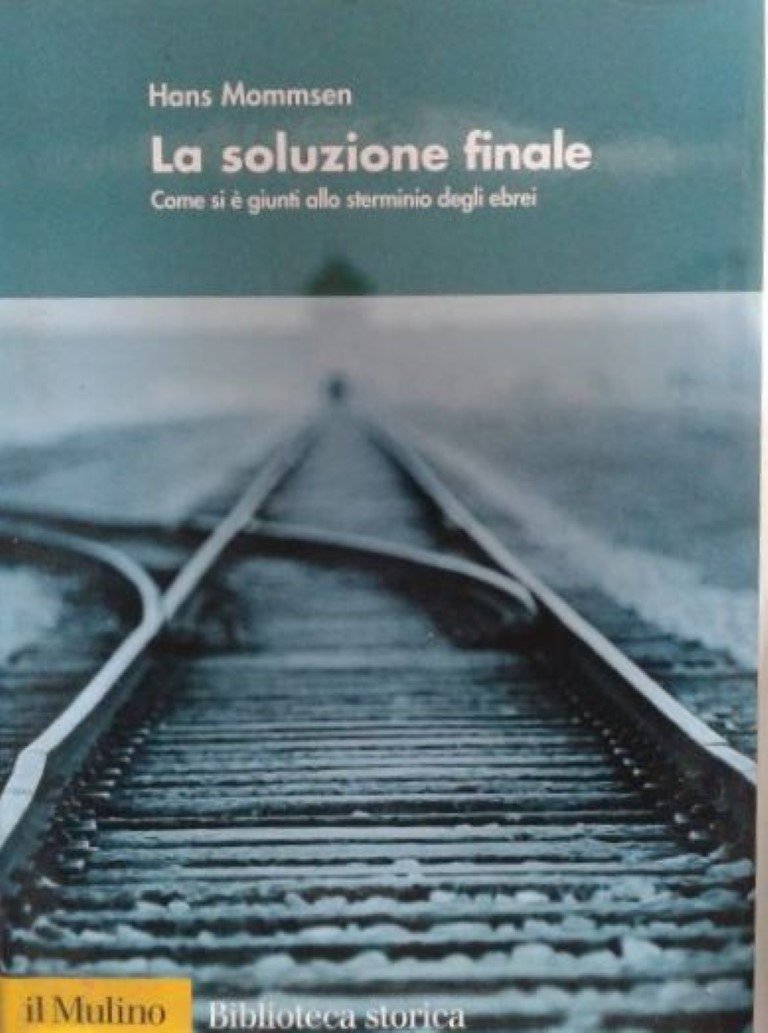 La soluzione finale. Come si è giunti allo sterminio degli ebrei book
