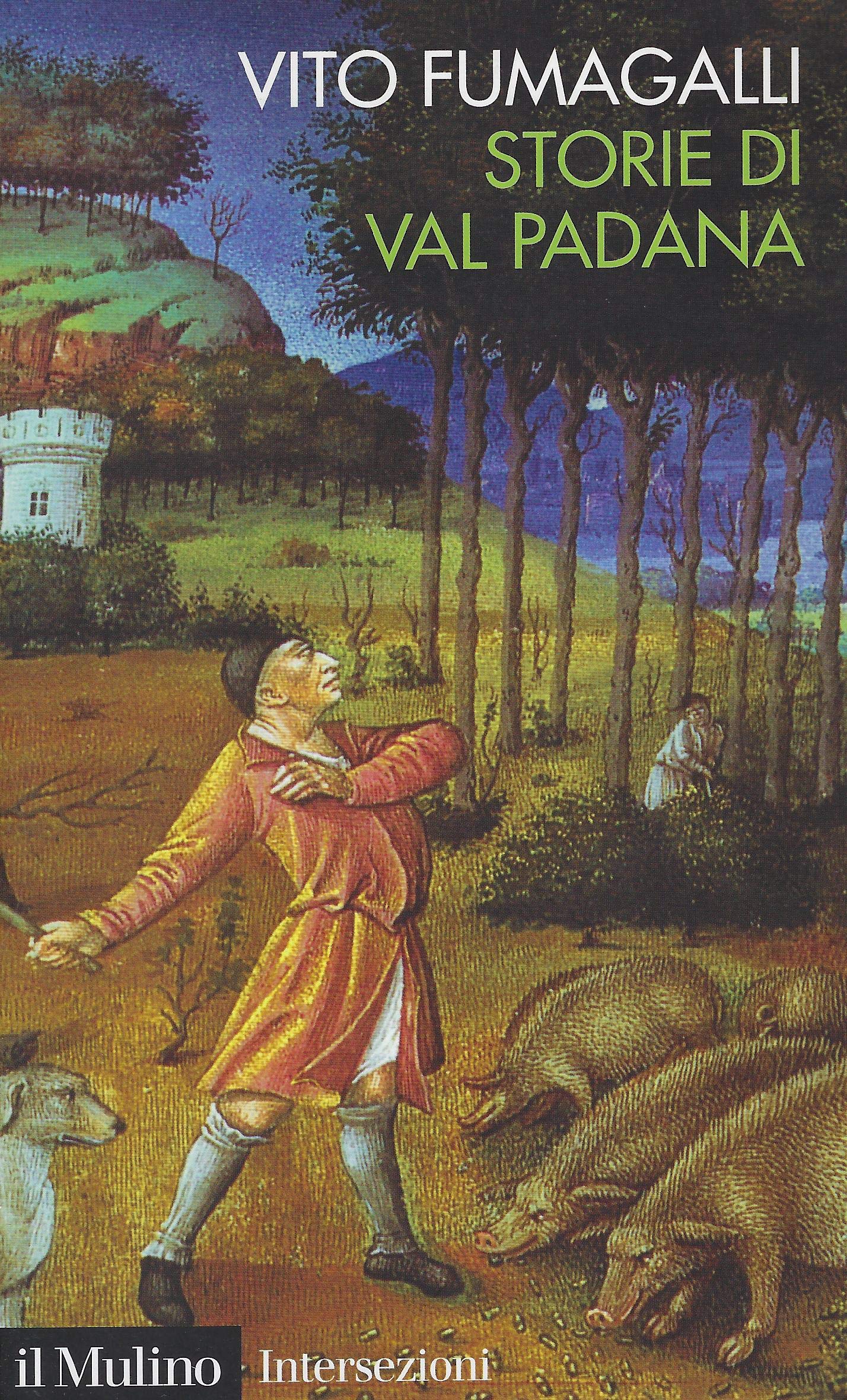 Storie di Val Padana. Campagne, foreste e città da Alboino a Cangrande della Scala book