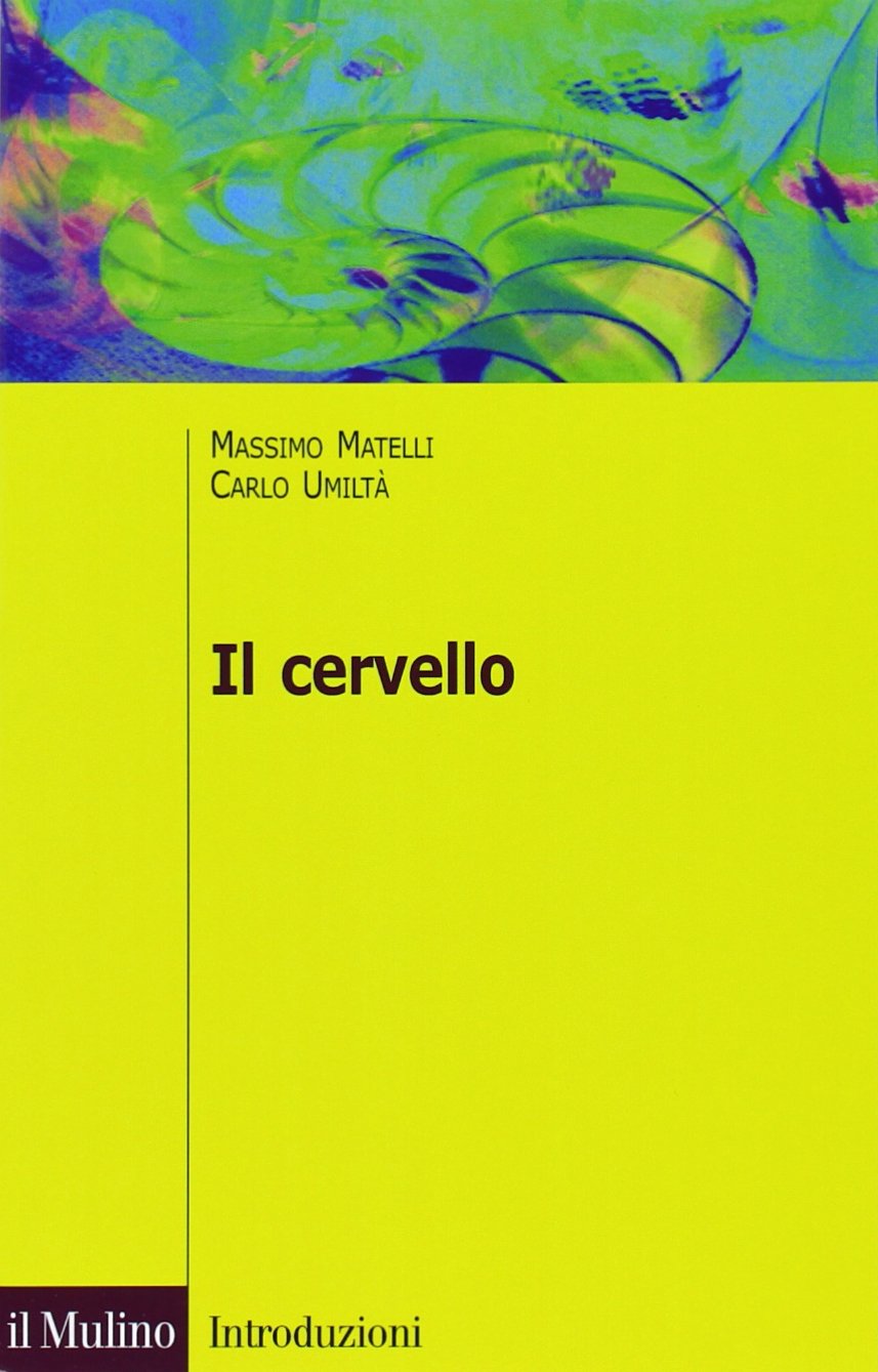 Il cervello. Anatomia e funzione del Sistema nervoso centrale Medicine