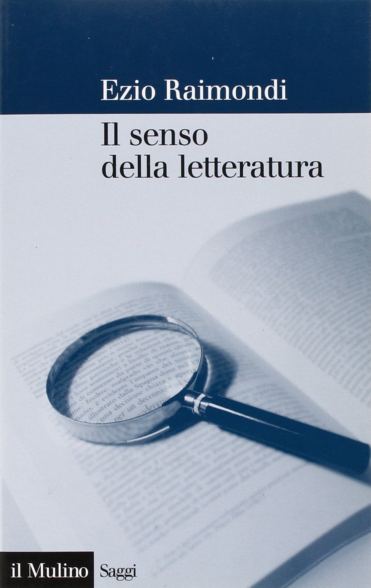 Il senso della letteratura (Saggi, Band 696) Contemporary literature