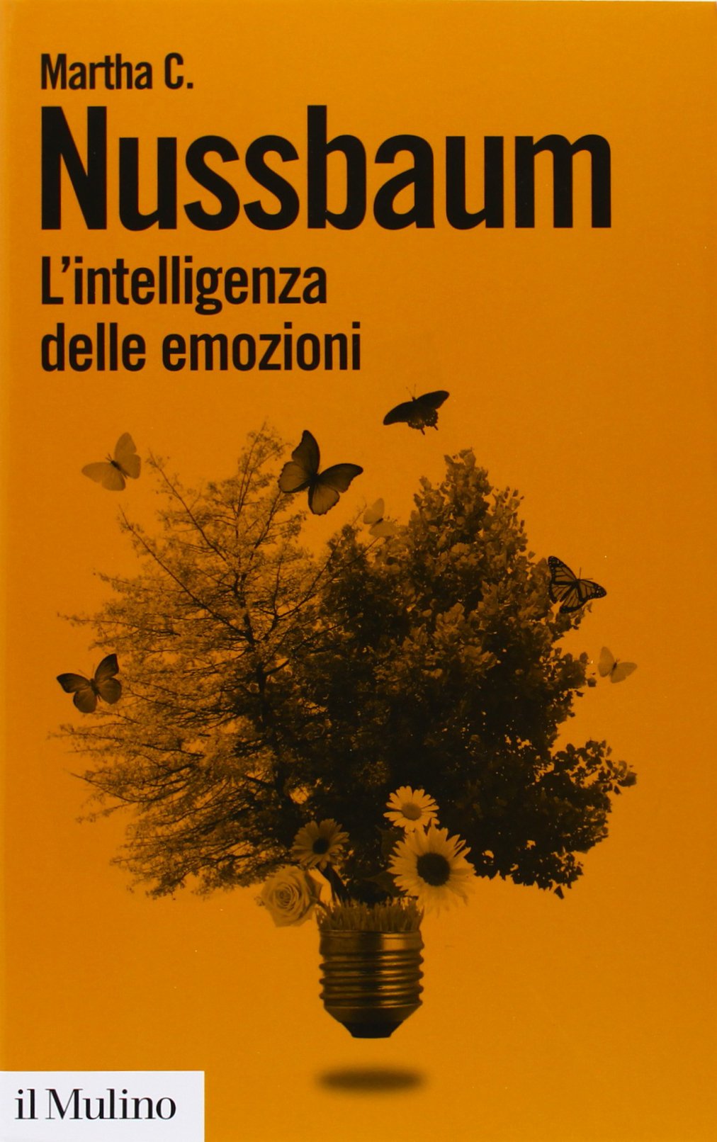 L'intelligenza delle emozioni (Biblioteca paperbacks, Band 6) Philosophy