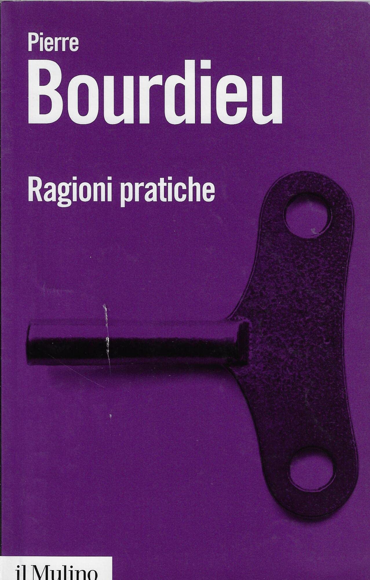 Ragioni pratiche (Biblioteca paperbacks, Band 7) Social Sciences