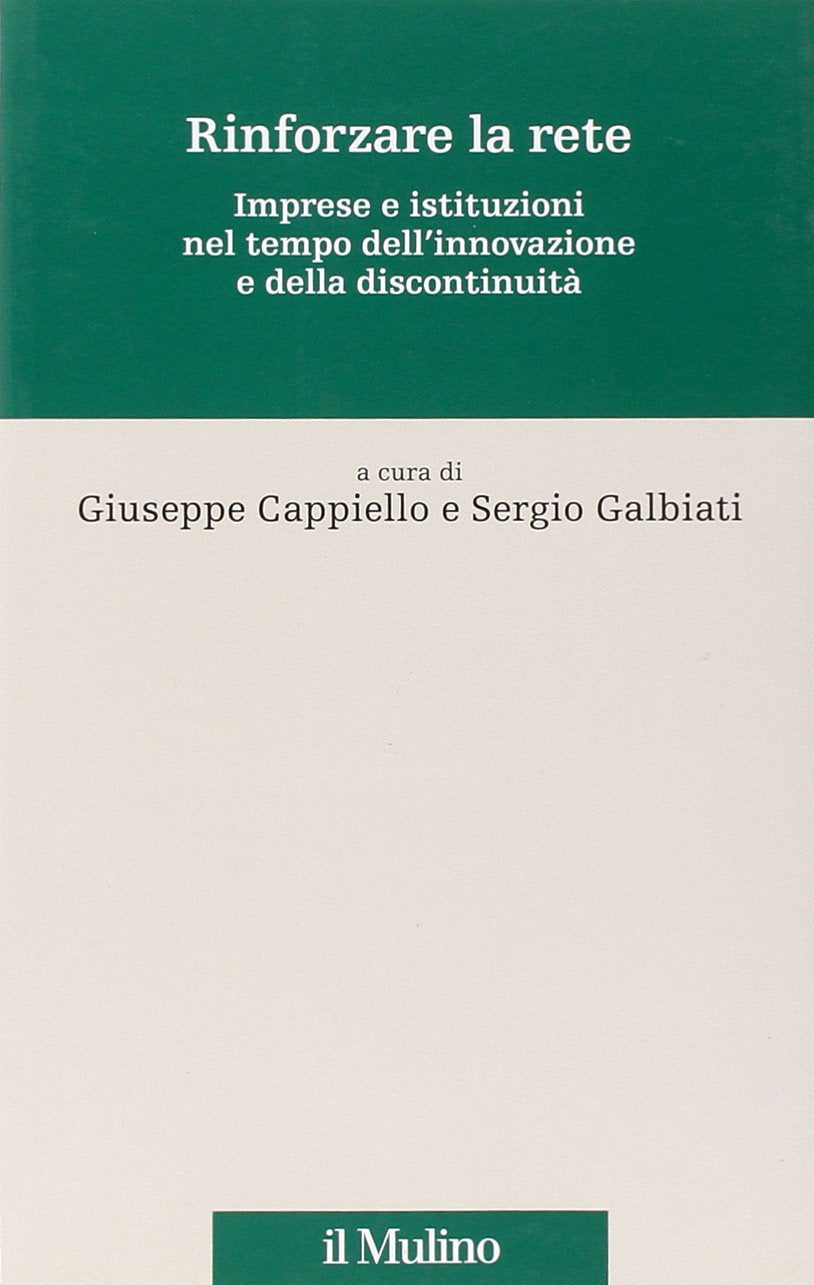 Rinforzare la rete. Imprese e istituzioni nel tempo dell'innovazione e della discontinuità book