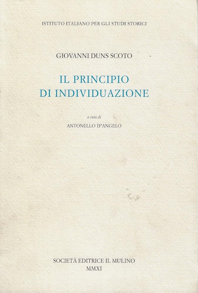 Il principio di individuazione book