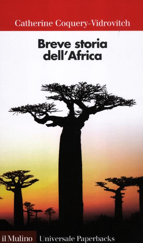 Breve storia dell'Africa Politics & History