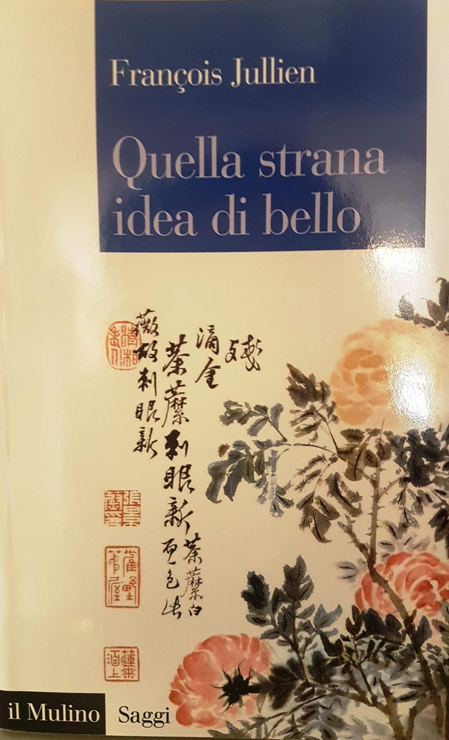 Quella strana idea di bello book