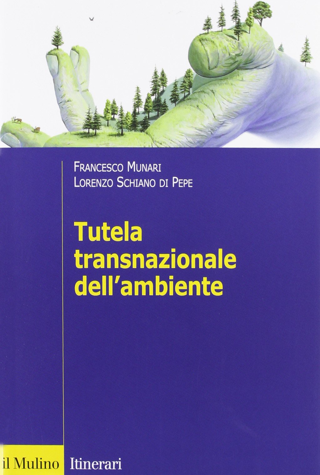 Tutela transnazionale dell'ambiente book