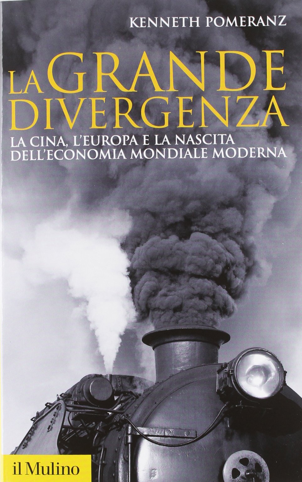 La grande divergenza. La Cina, l'Europa e la nascita dell'economia mondiale moderna Business, Finance & Career
