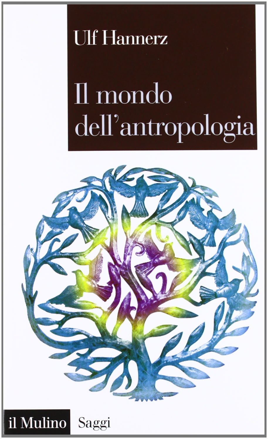 Il mondo dell'antropologia Social Sciences