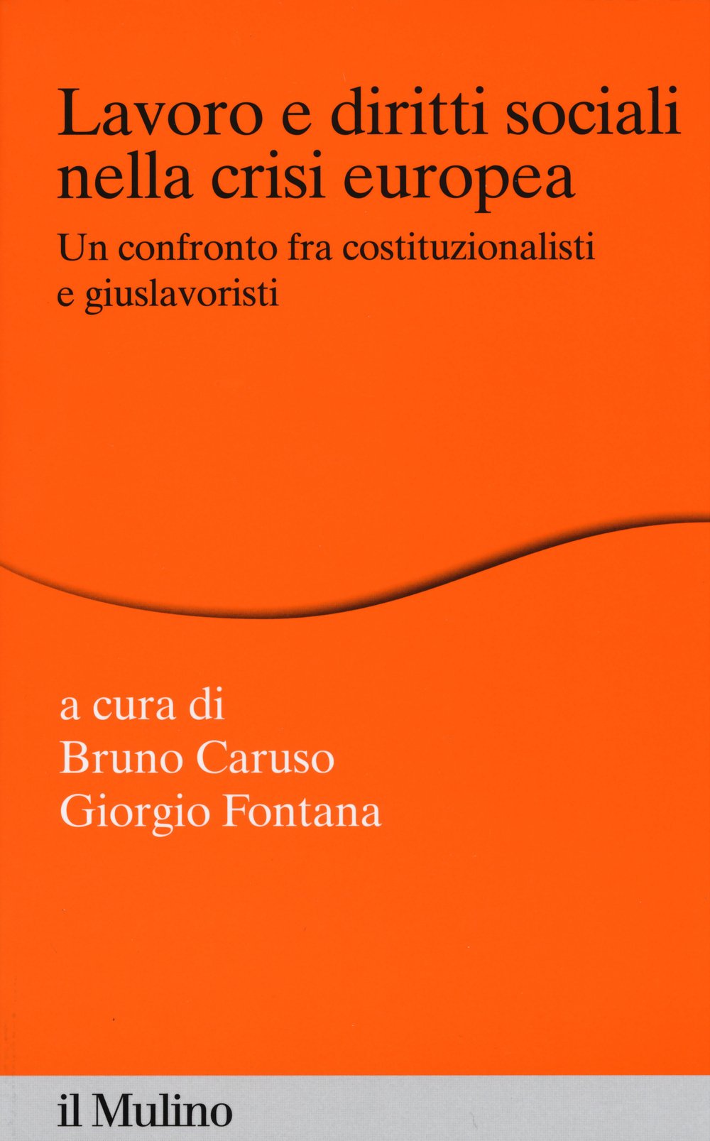Lavoro e diritti sociali nella crisi europea. Un confronto fra costituzionalisti e giuslavoristi book