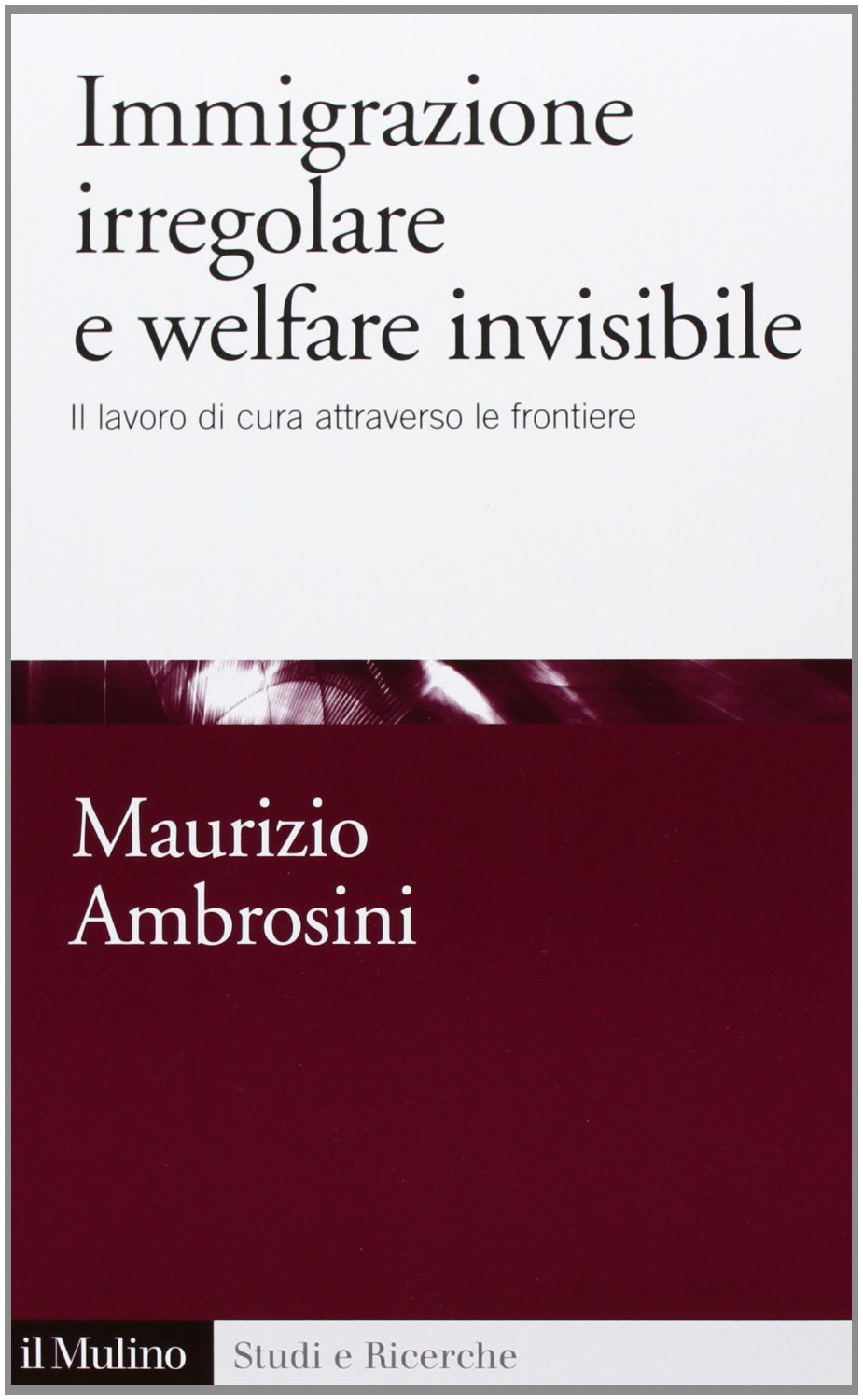 Immigrazione irregolare e welfare invisibile. Il lavoro di cura attraverso le frontiere book