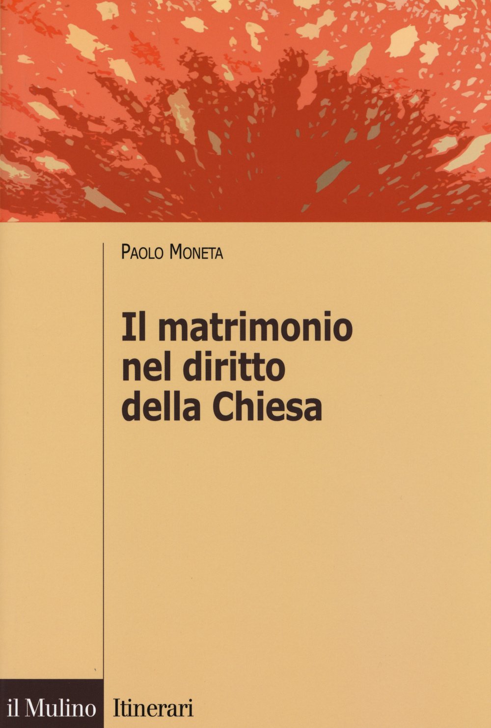 Il matrimonio nel diritto della Chiesa book