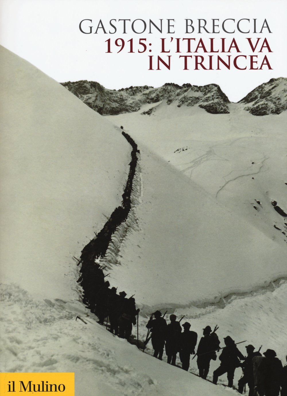 1915: l'Italia va in trincea Politics & History