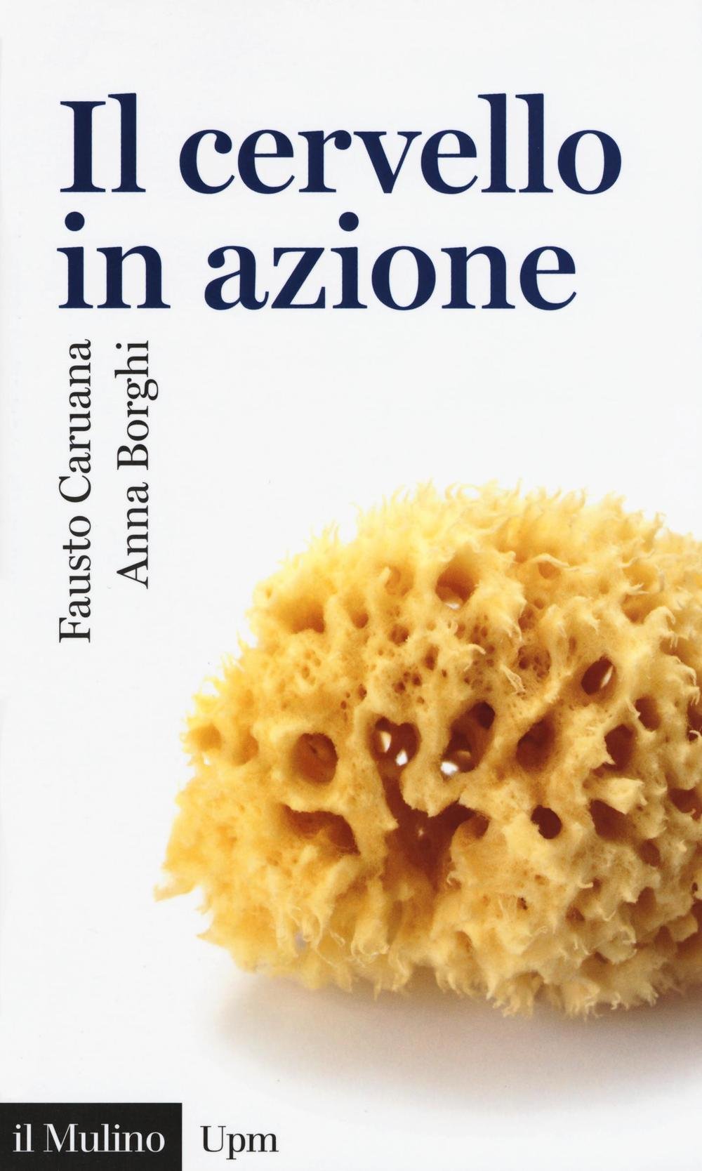 Il cervello in azione (Universale paperbacks Il Mulino, Band 707) Natural Sciences