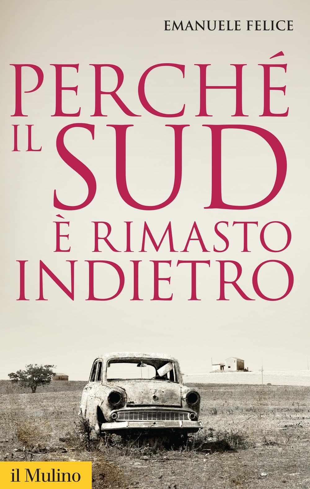 Perché il Sud è rimasto indietro Books