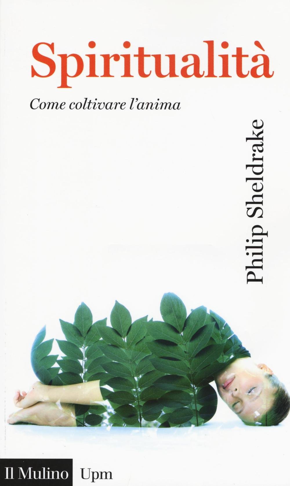 Spiritualità. Come coltivare l'anima book