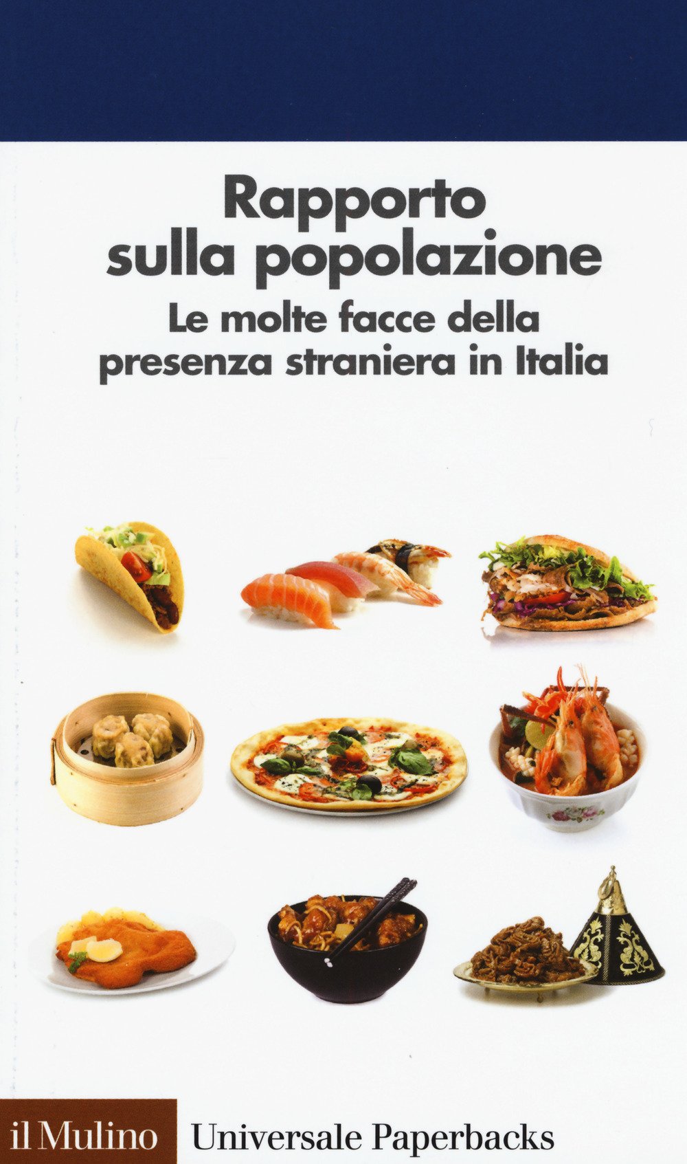 Rapporto sulla popolazione. Le molte facce della presenza straniera in Italia book