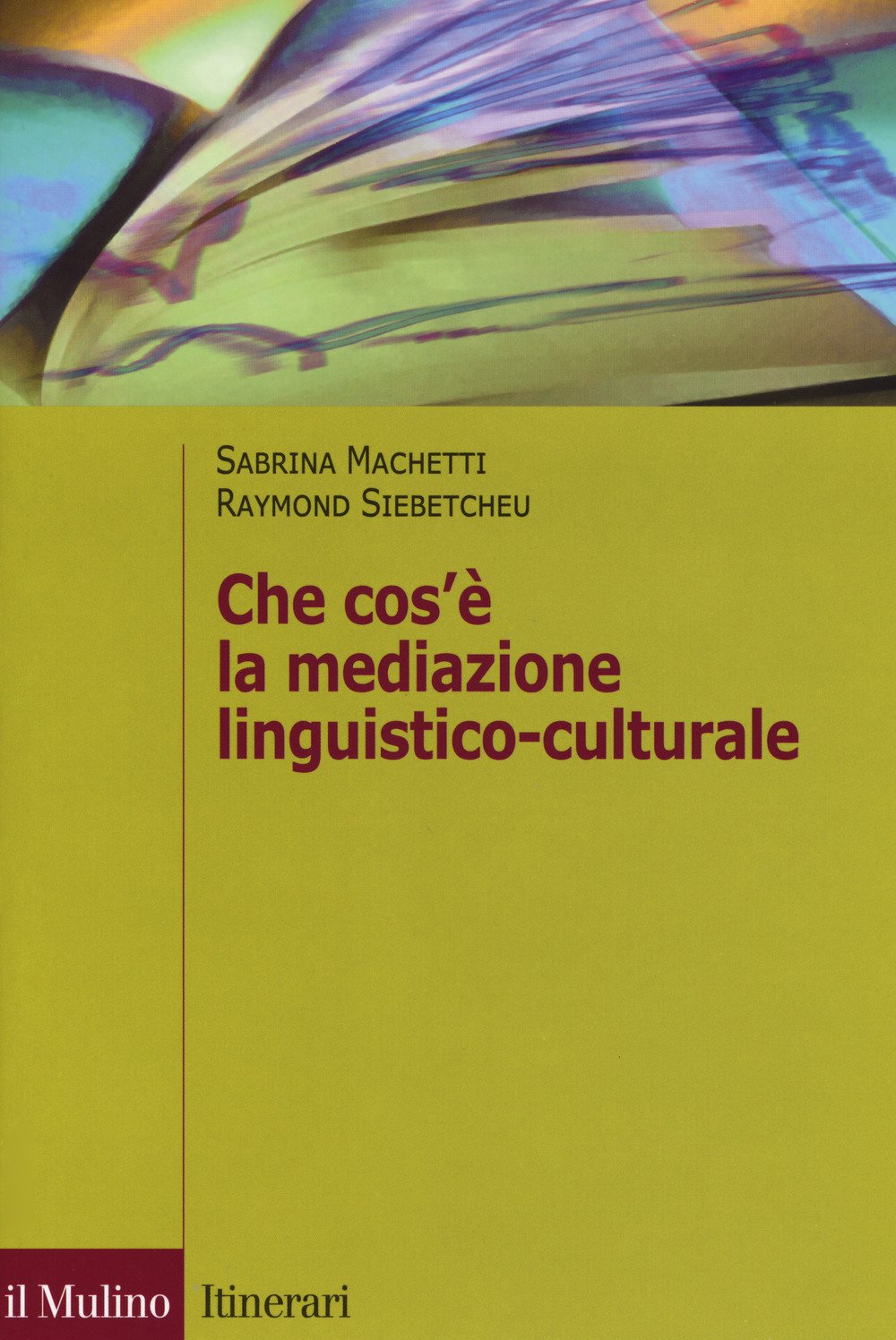 Che cos'è la mediazione linguistico culturale Social Sciences